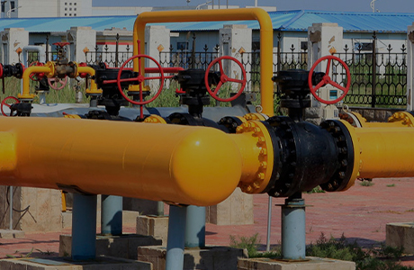 A empresa do grupo obteve uma licença de produção de produtos industriais